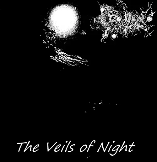 Cold Night Winter : The Veils of Night